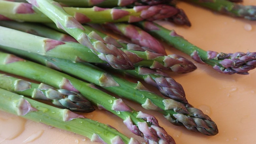 Mary Washington Asparagus Seeds - Perennial Vegetable for Outdoor Gardens - Image 1