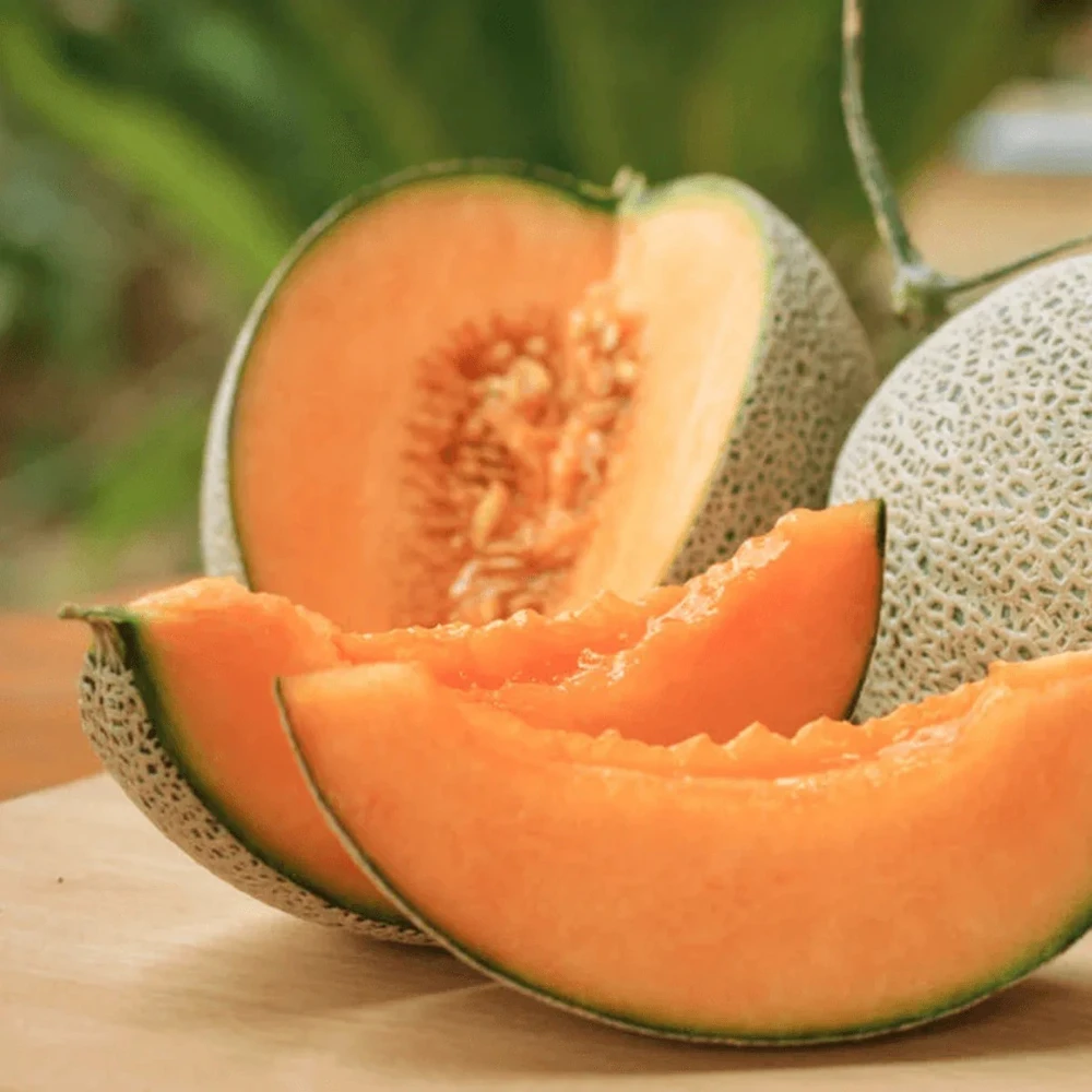 Muskmelon Western Shipper Type Seeds - Cantaloupe Melon Seeds for Outdoor Growing - Image 1