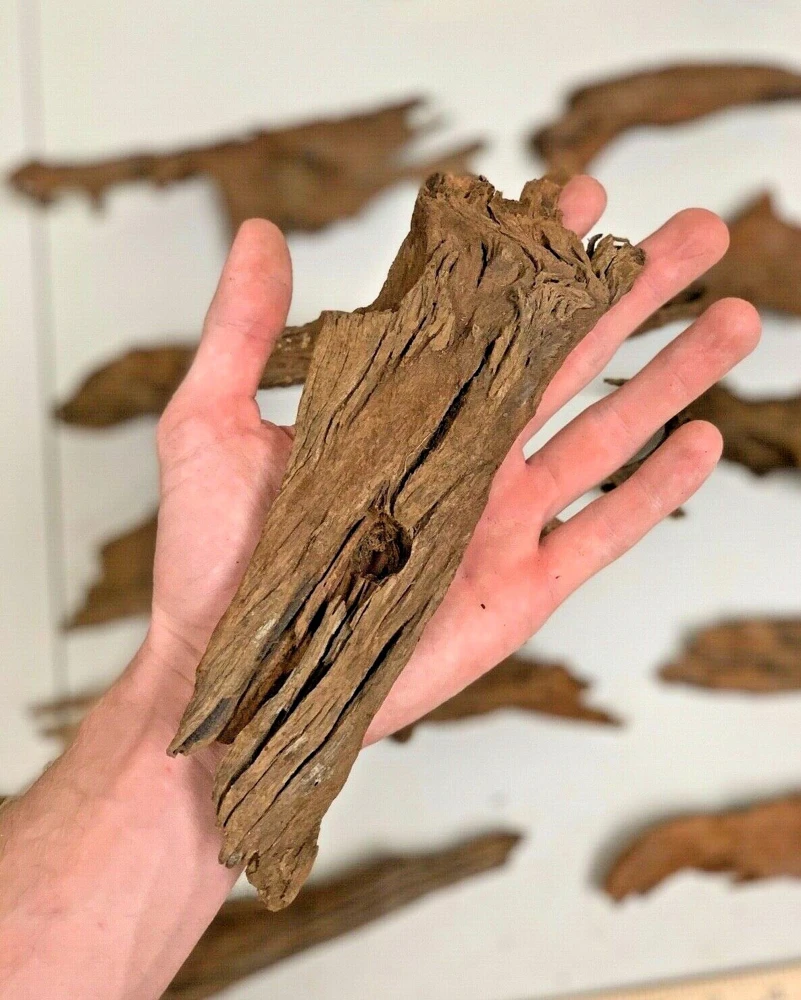 Natural Malaysian Driftwood for Aquarium Aquascaping Decor - Brown Wood - Image 1