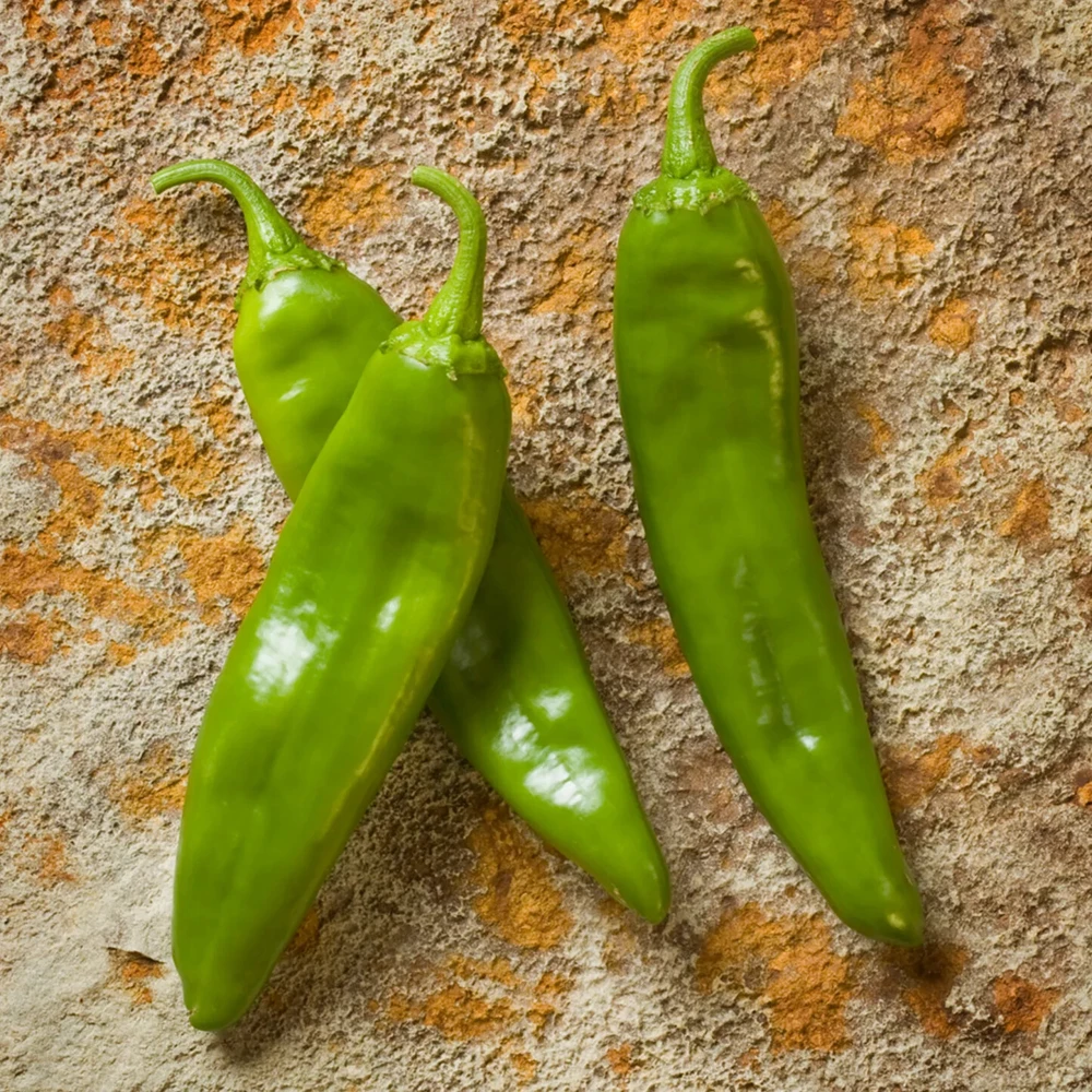 NuMex NM 6-4 Chili Pepper Seeds - Mild Green Chile for Authentic Ristras - Image 2