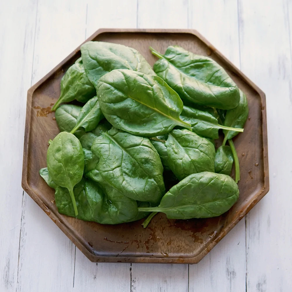 Olympia Spinach Seeds - Easy Grow Vegetable Seeds, Green, Outdoor - Image 2