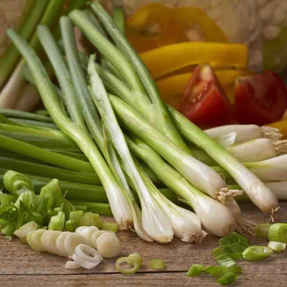 Onion Seeds Collection - 13 Varieties - Vegetable Seeds for Planting - Image 12