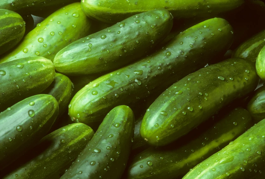 Organic Garden Sweet Burpless Cucumber Seeds - Vigorous Vines, Easy Grow - Image 1