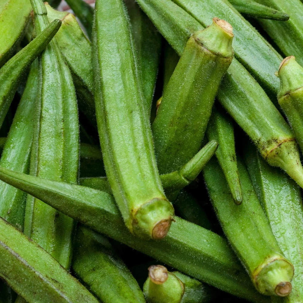 Perkins Long Pod Okra Seeds - Spineless, Large Okra, Easy Grow Annual - Image 1