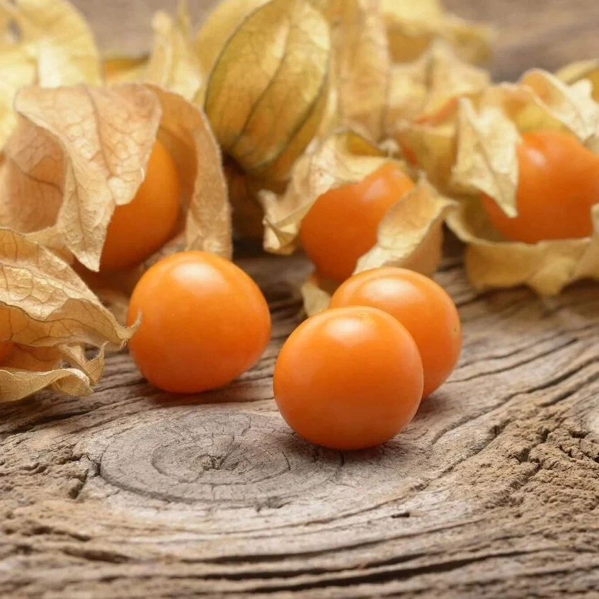 Pineapple Tomatillo Seeds - 50 Count Goldenberry, Physalis pruinosa, Outdoor - Image 1
