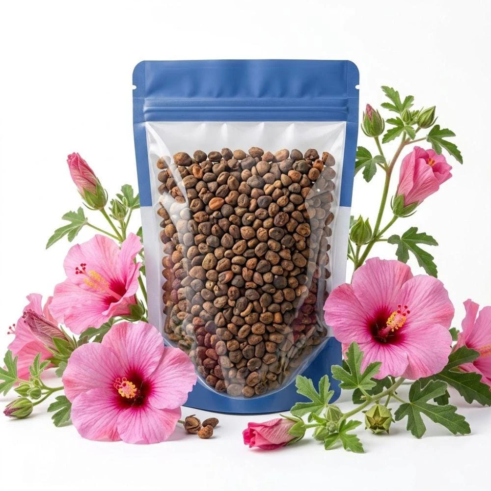 Pink Hibiscus Flower Seeds - 20 Count Tropical Garden Plant - Image 1
