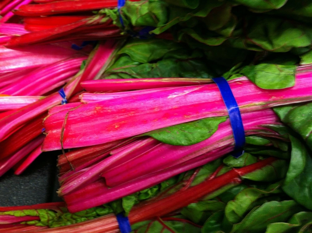 Pink Lipstick Swiss Chard Seeds - Colorful Annual Vegetable Seeds for Garden - Image 2
