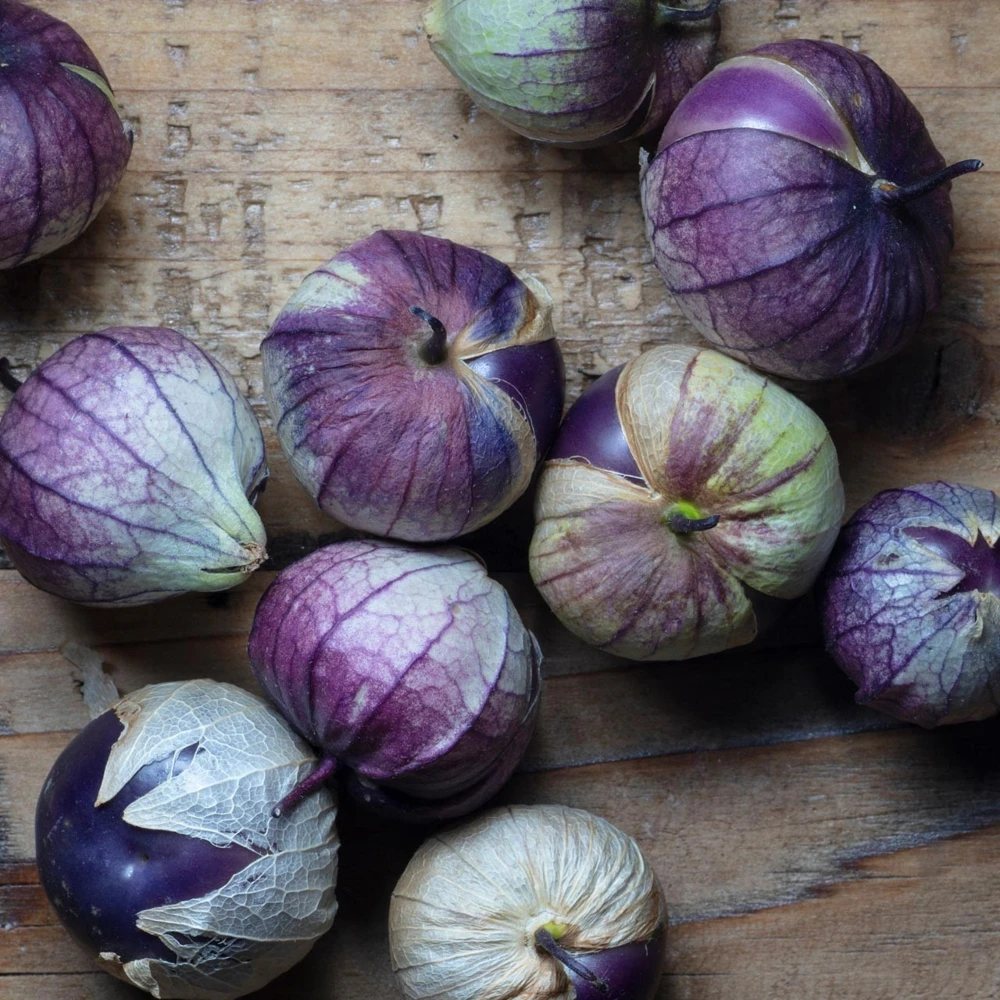 Purple Tomatillo Seeds - 50 Purple de Milpa Seeds, Outdoor Vegetable - Image 1