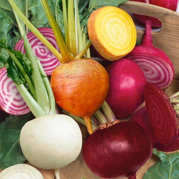 Rainbow Beet Seeds Mix - 4 Species (Detroit Dark Red, Golden, Chioggia, White) - Outdoor Annual - Image 1