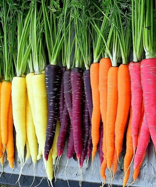 Rainbow Carrot Seeds Mix - Colorful Vegetable Seeds for Home Gardens - Image 1