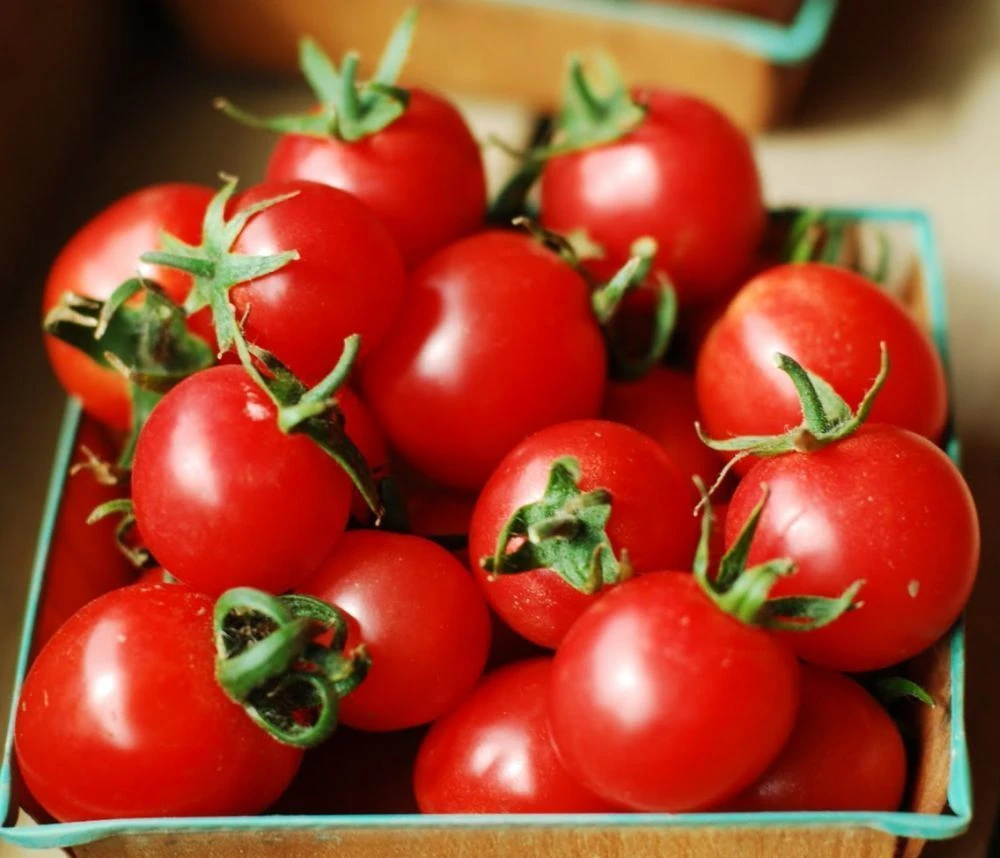 Red Cherry Tomato Seeds - Heirloom Salad Tomato Seeds, Easy to Grow, Outdoor - Image 3