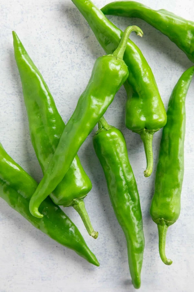 Sandia Chili Pepper Seeds - NuMex Hot Green Chile, Easy Grow, Outdoor - Image 1