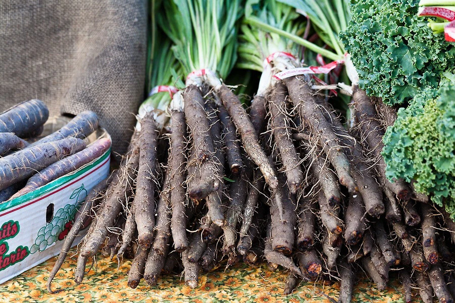 Scorzonera Black Salsify Seeds - Biennial Root Vegetable, Easy Grow - Image 1