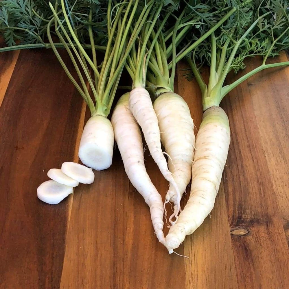 Snow White Carrot Seeds - Beta-Carotene Rich, White Roots, Outdoor - Image 2