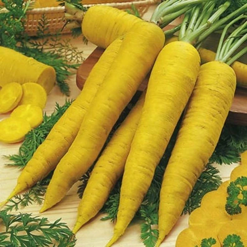 Solar Yellow Carrot Seeds - Colorful, Easy Grow, Outdoor Vegetable Seeds - Image 1