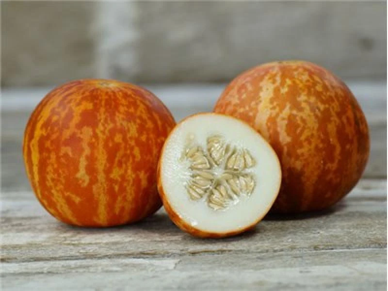 Tigger Melon Seeds - Organic & Aromatic Fruit Seeds for Outdoor Gardening - Image 1