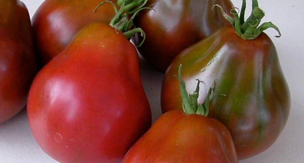 Tomato Seeds - Medium Slicing Type - Easy to Grow - Outdoor Annual - Image 4