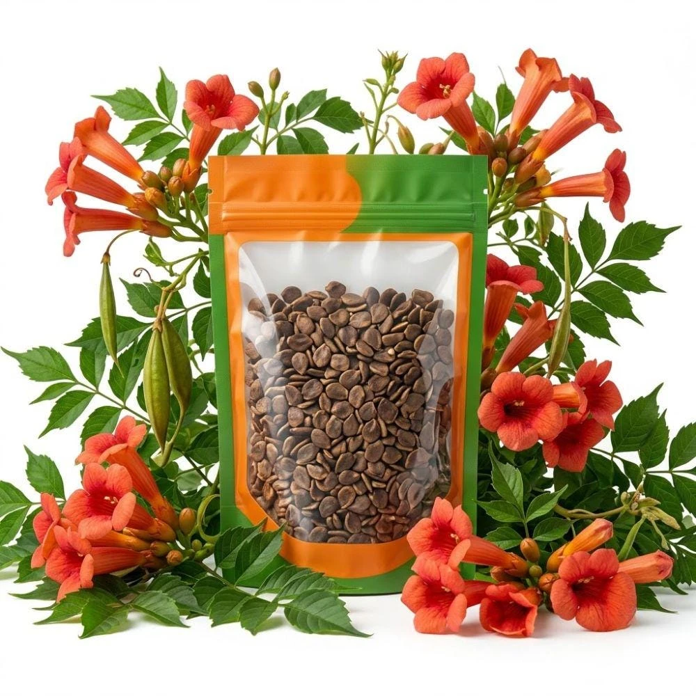 Trumpet Creeper Vine Seeds - 100+ Perennial Flowering Climber for Full Sun - Image 1