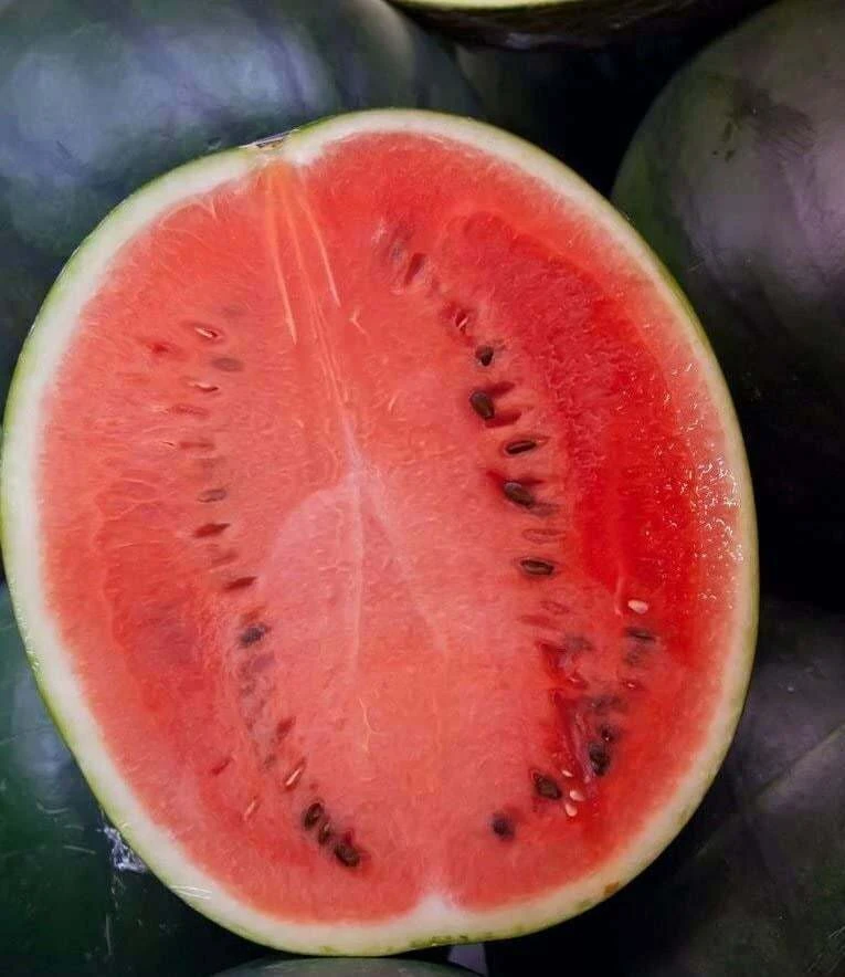 Watermelon Seeds Collection - 9 Heirloom Varieties - Easy Grow Outdoor - Image 2