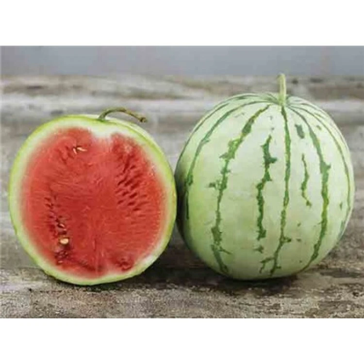 Watermelon Seeds Collection - 9 Heirloom Varieties - Easy Grow Outdoor - Image 7
