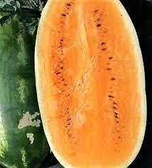 Watermelon Seeds Collection - 9 Heirloom Varieties - Easy Grow Outdoor - Image 9