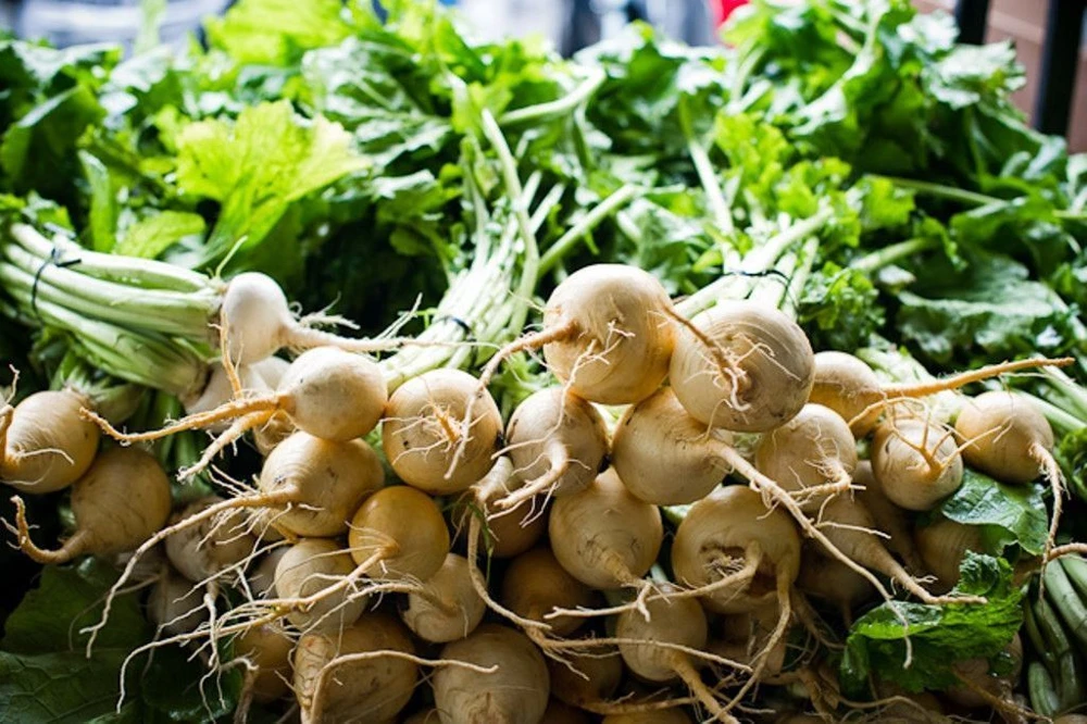 White Albino Beet Seeds – Heirloom Vegetable Seeds – Annual Outdoor Planting - Image 1