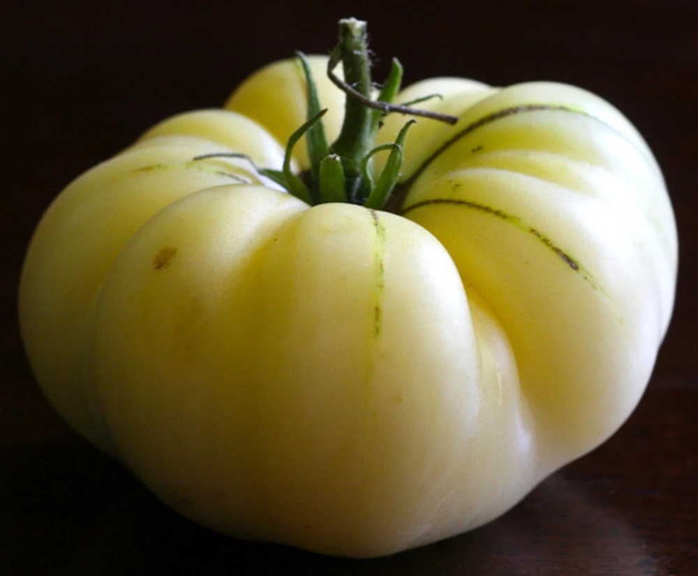 White Wonder Beefsteak Tomato Seeds - 30 Seed Pack, Outdoor - Image 2