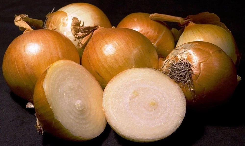 Yellow Sweet Spanish Onion Seeds - Allium cepa - Easy Grow Annual - Image 1