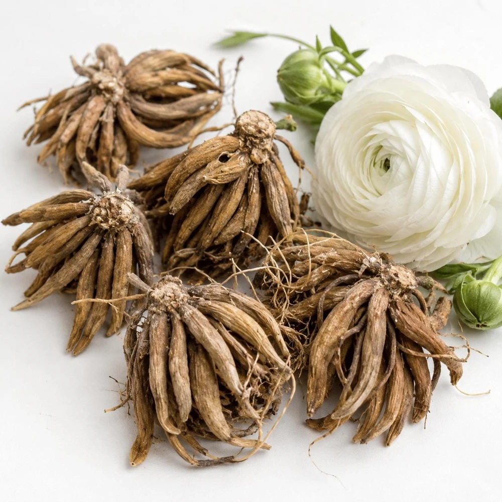 25 White Ranunculus Peony Corms - Double Bloom Buttercups, Vibrant Spring Flowers - Image 7