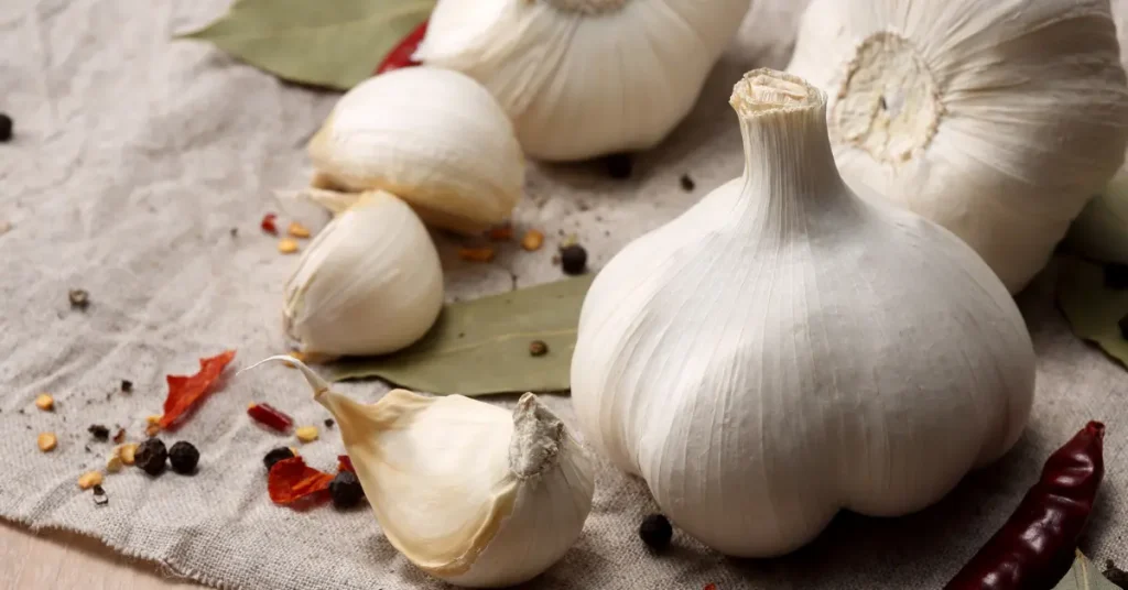 Plant Music Garlic