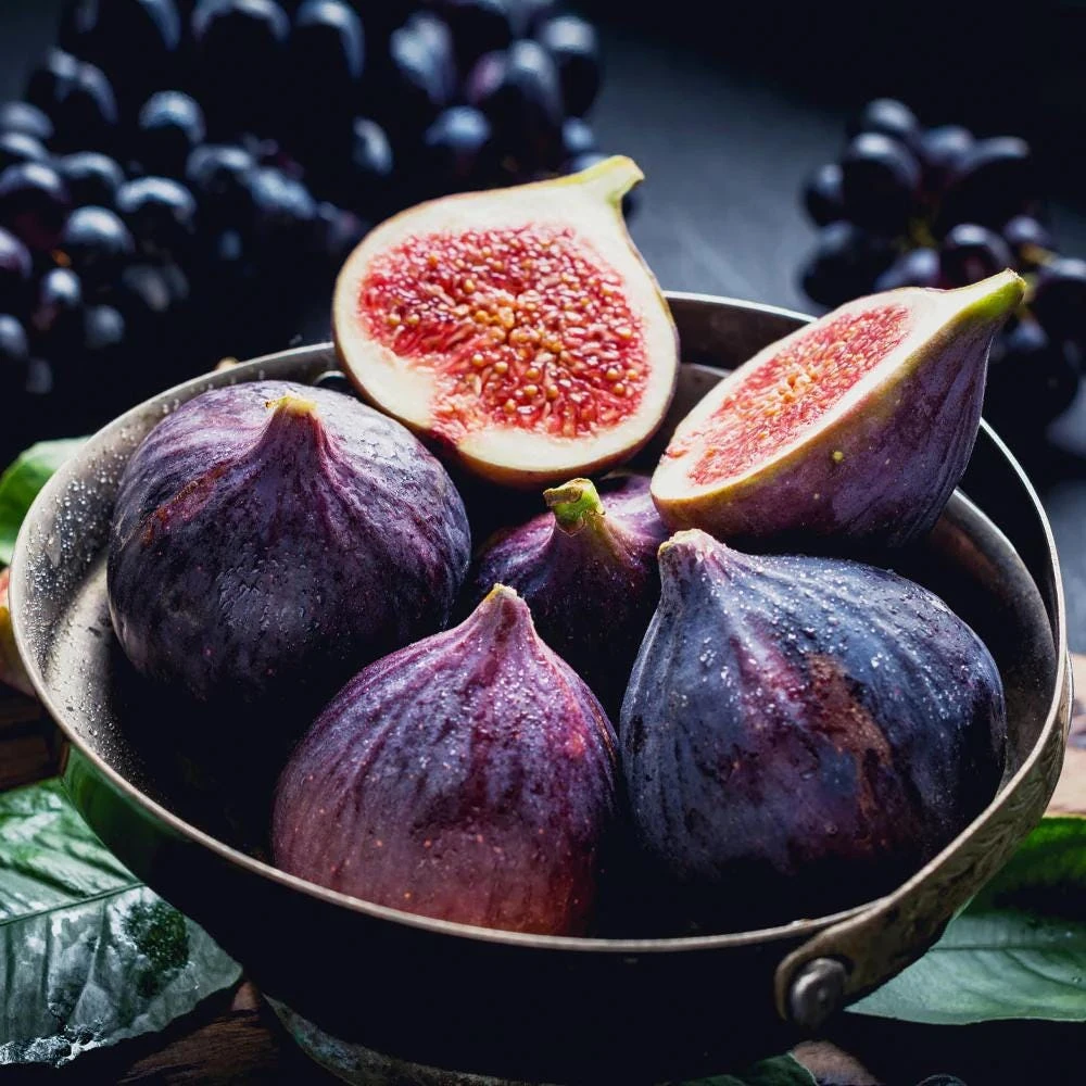 Black Mission Fig Live Plant - Ficus Carica Fruiting Tree 4-6 Inches Tall - Image 1