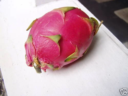 Dragon Fruit Seeds (Hylocereus undatus) - 40 Seeds for Planting - Image 1