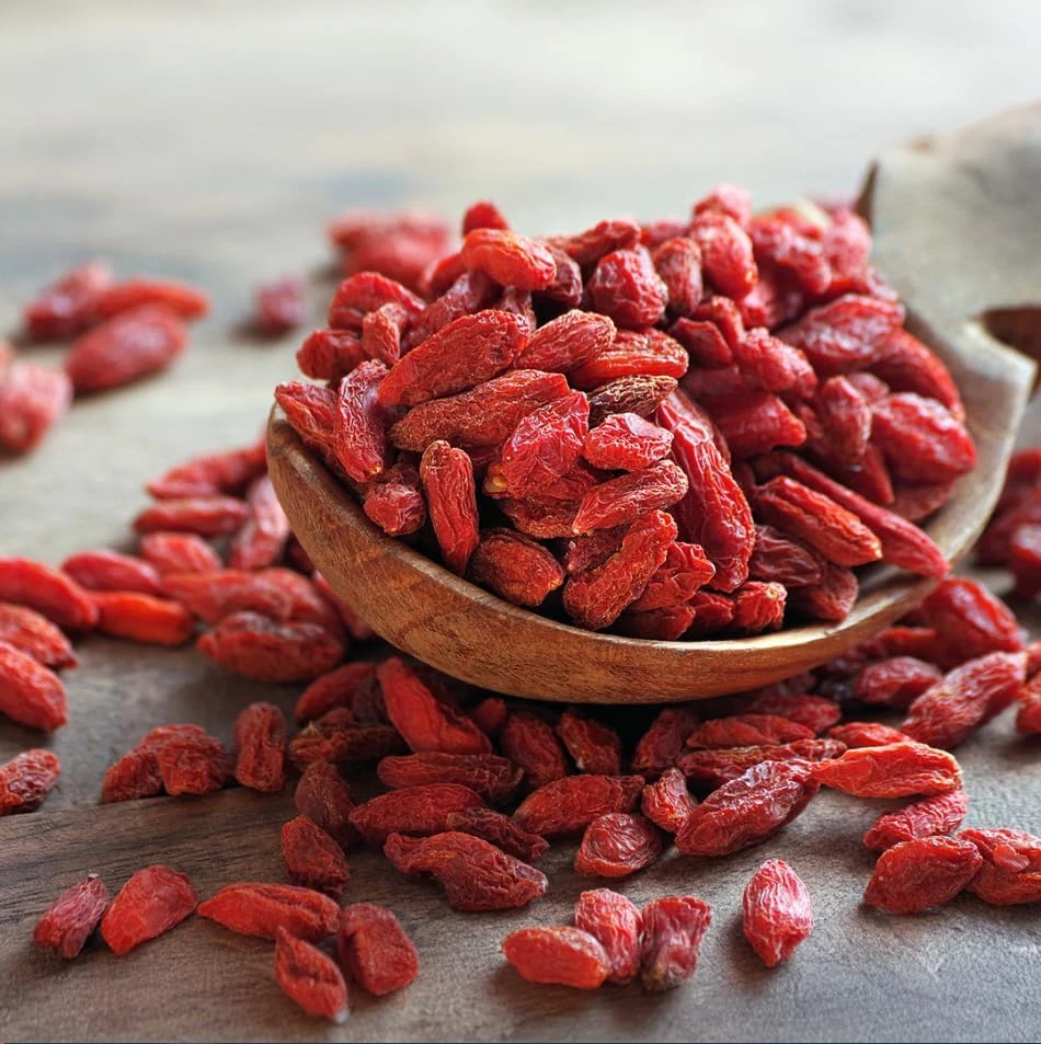 Goji Berry Live Plant - Red Fruit Bush for Planting - 4-8 Inch Tall, Perennial - Image 4