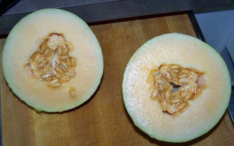 Hami Melon Seeds - 10 Pack - Sweet & Aromatic Fruit Seeds for Home Garden - Image 1
