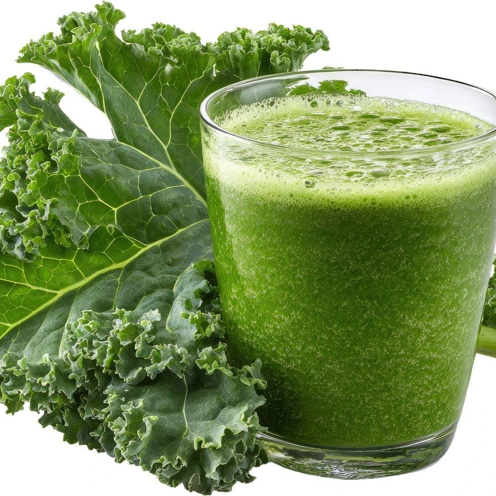 Kale Live Plants - 2 Starter Plants per Pot - Cool Season Vegetable - Image 3