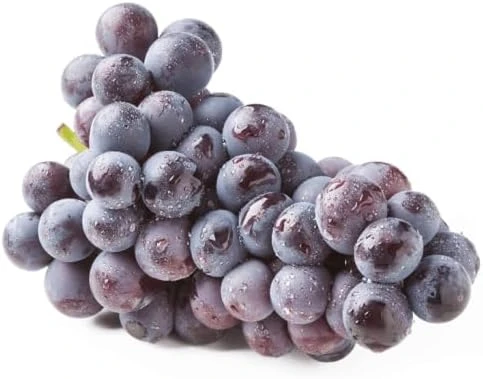 Kyoho Grape Vine Live Plant โ Large Blue-Purple Fruit โ 8-17" Tall Outdoor - Image 4