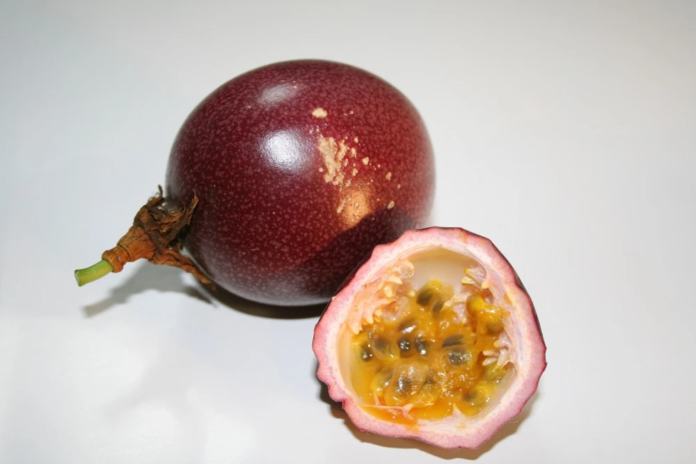 Passiflora Gabys Red Passion Flower Seeds - 5 Perennial Seeds - Image 1