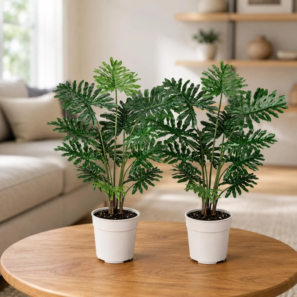 Set of 2 Tree Philodendron Live Plants, 5-8 Inch Tall, 4 Inch Pot, Indoor Tropical - Image 1