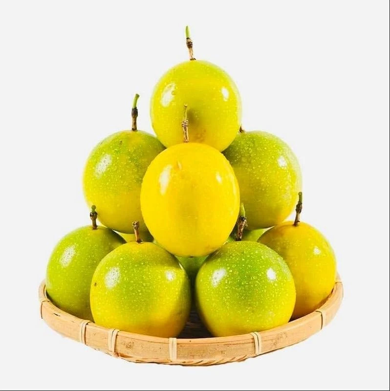 Set of 2 Yellow Passionfruit Live Plants for Planting, 4-8 Inch Tall - Image 6