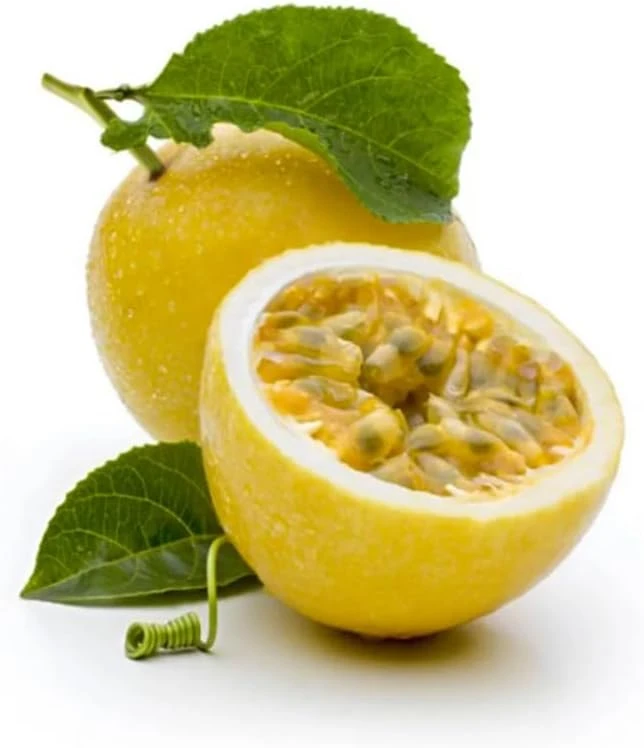 Yellow Passion Fruit Live Plant โ Sweet Tropical Fruiting Vine โ 8-12" Tall in 4" Pot - Image 5